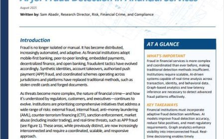 AI for fraud detection in financial services